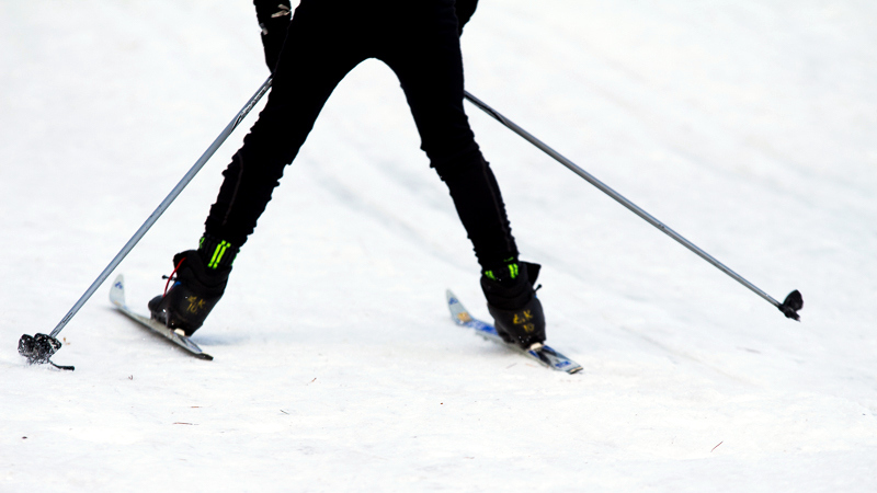 W Augustowie można już korzystać bezpłatnie z narciarskich tras biegowych