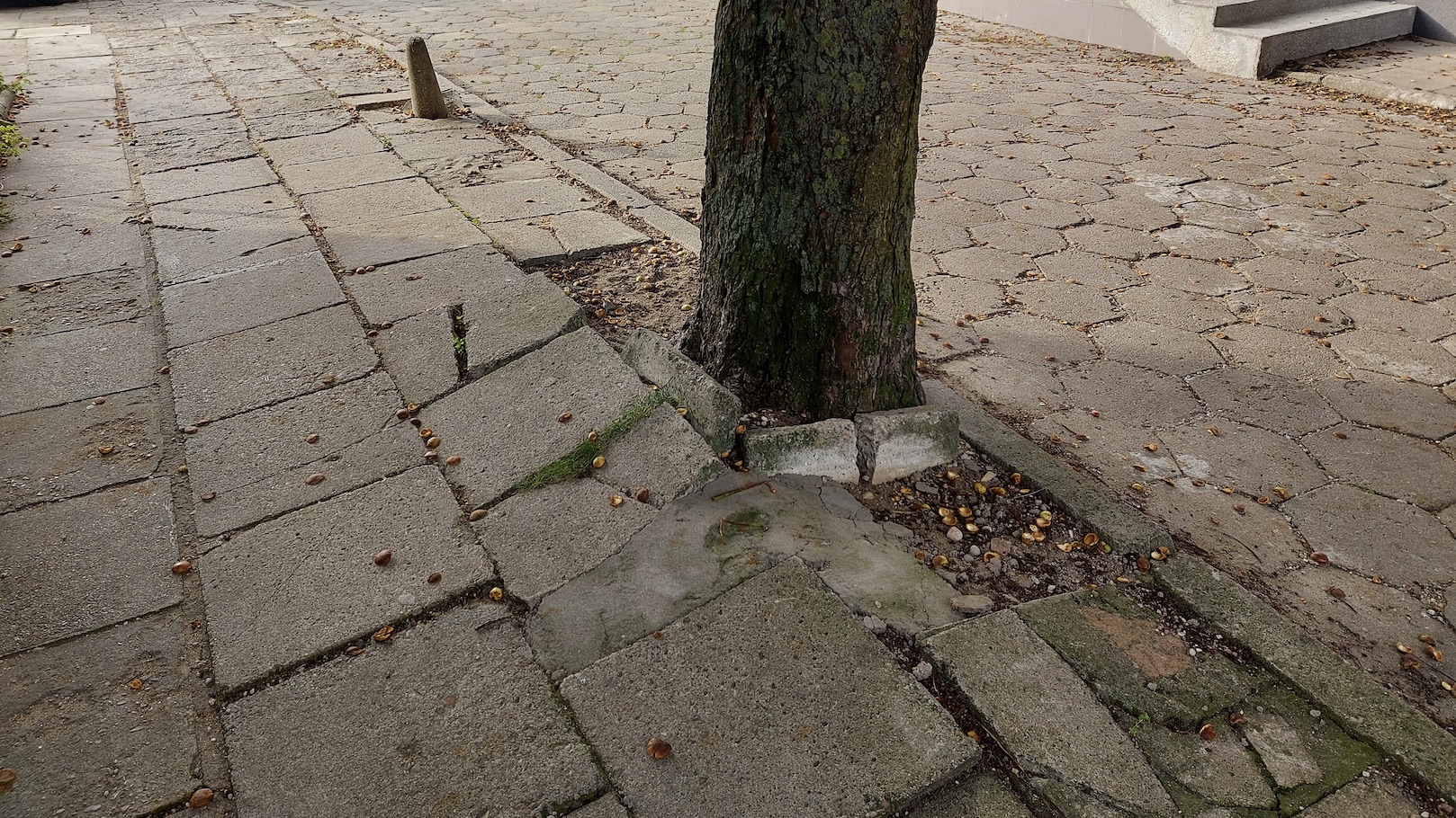 W Suwałkach niebawem rozpoczną się wiosenne remonty chodników