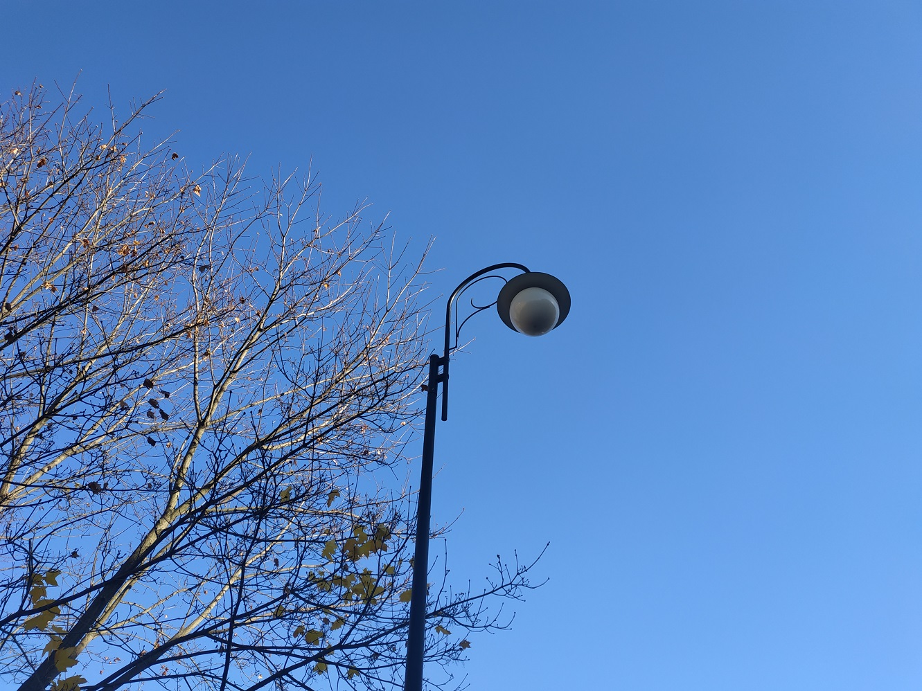 Jeszcze przed końcem roku w Suwałkach rozpocznie się wymiana starego oświetlenia ulicznego na nowe w technologii LED