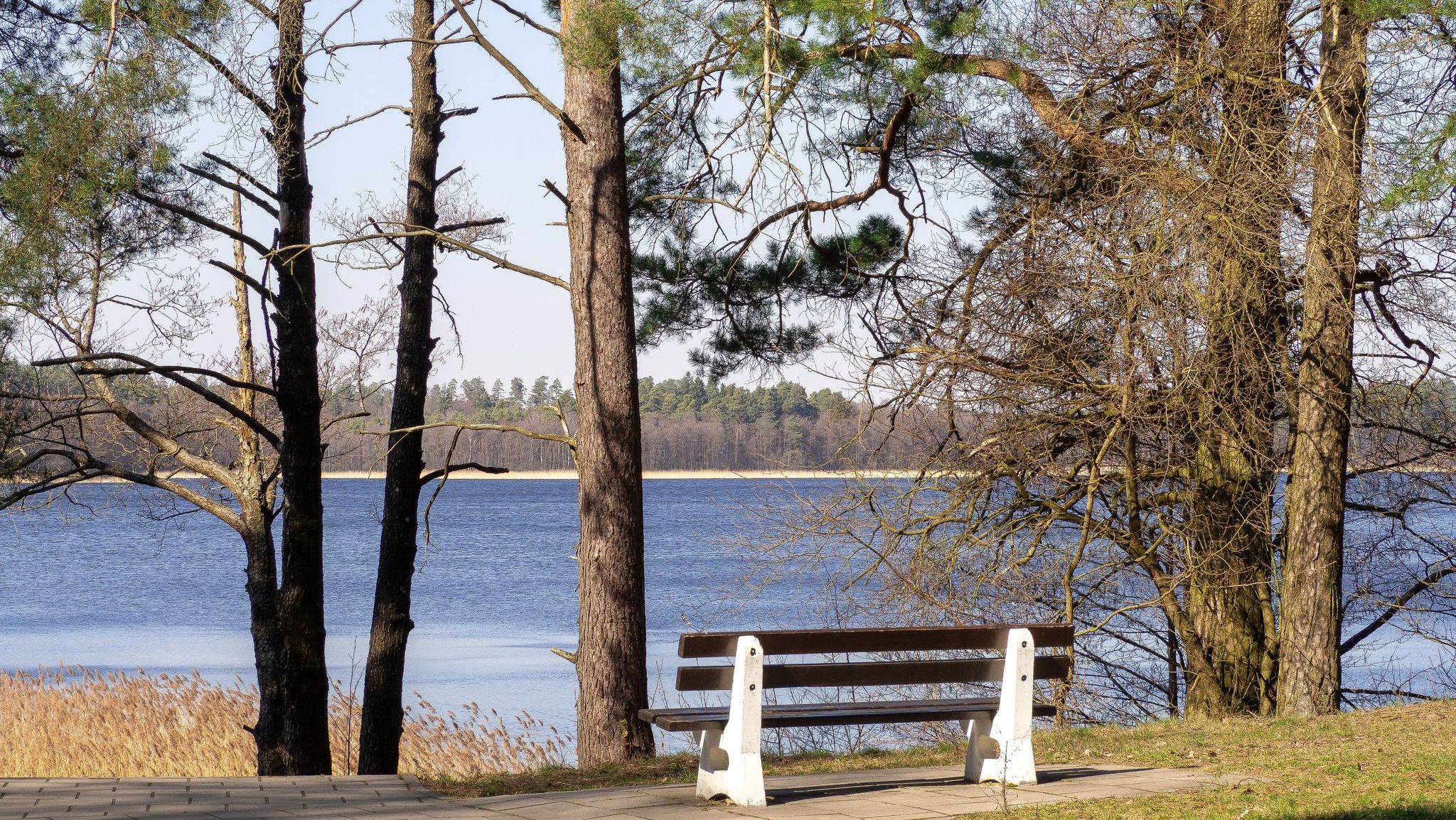 Taras widokowy nad Neckiem w Augustowie został wyremontowany