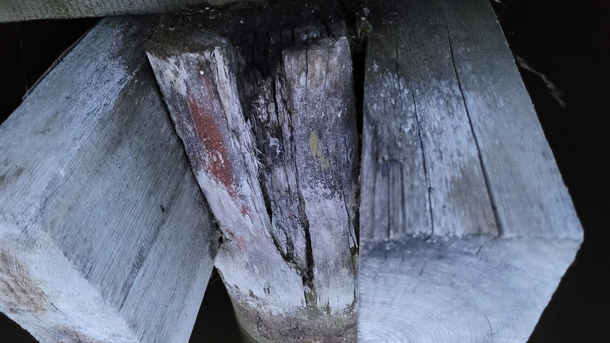 Radna pyta dlaczego władze Augustowa nic nie robią z pomostem przy plaży POSTiW