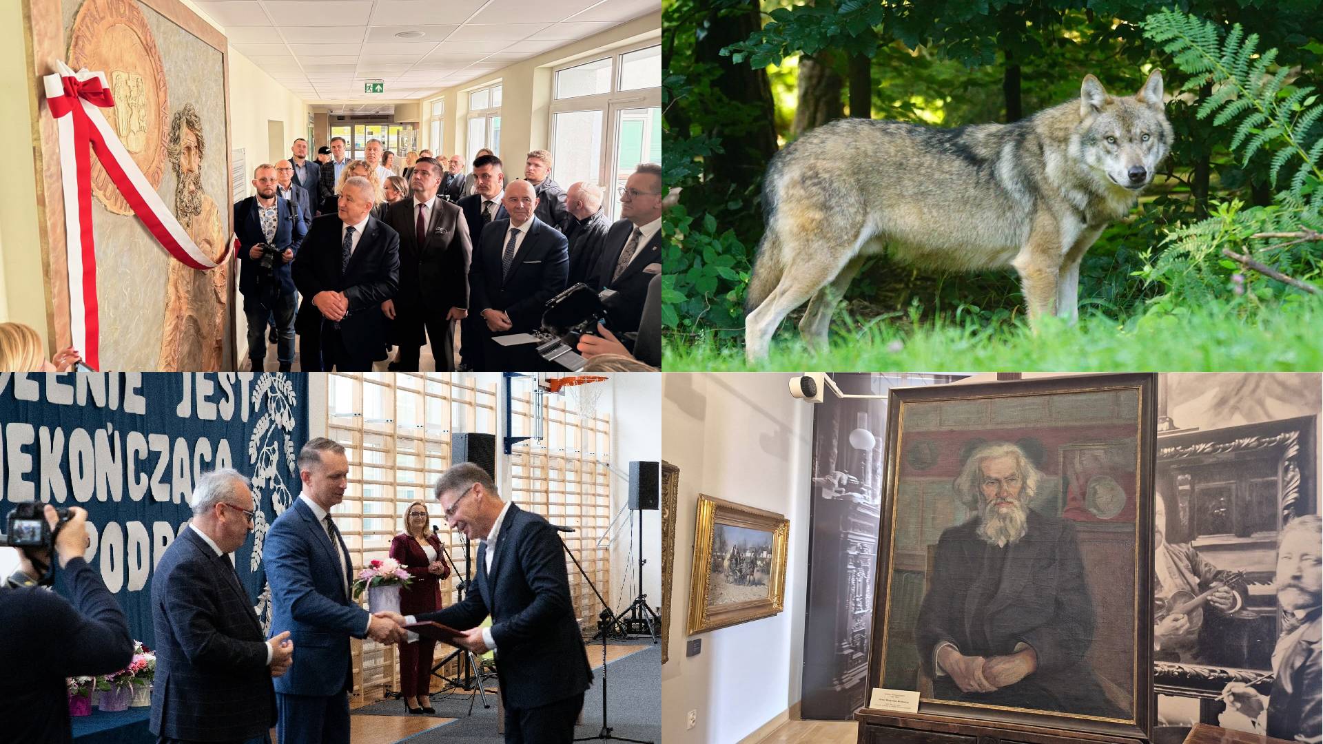 Zdarzyło się w tygodniu - podsumowała Areta Topornicka