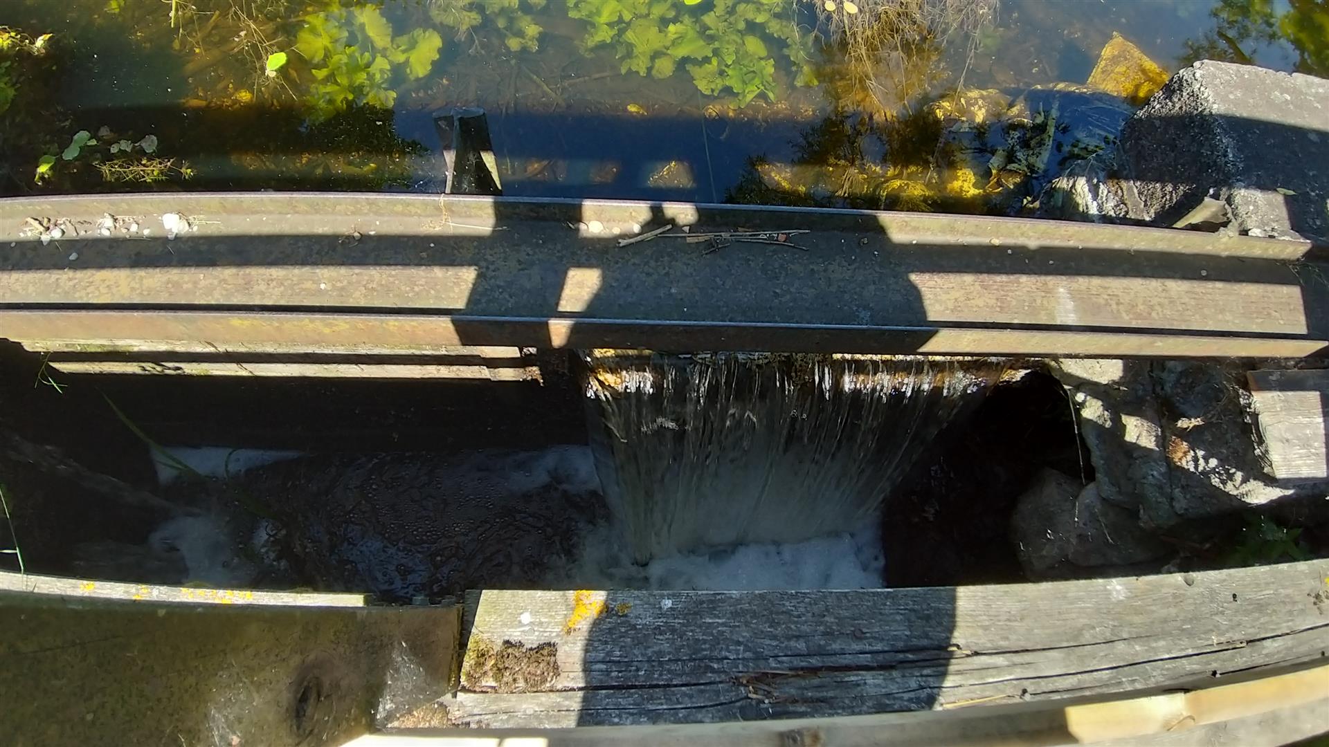 Turyści alarmują że drewniana kładka na trasie turystycznej Stary Folwark - Cimochowizna sypie się i wymaga naprawy