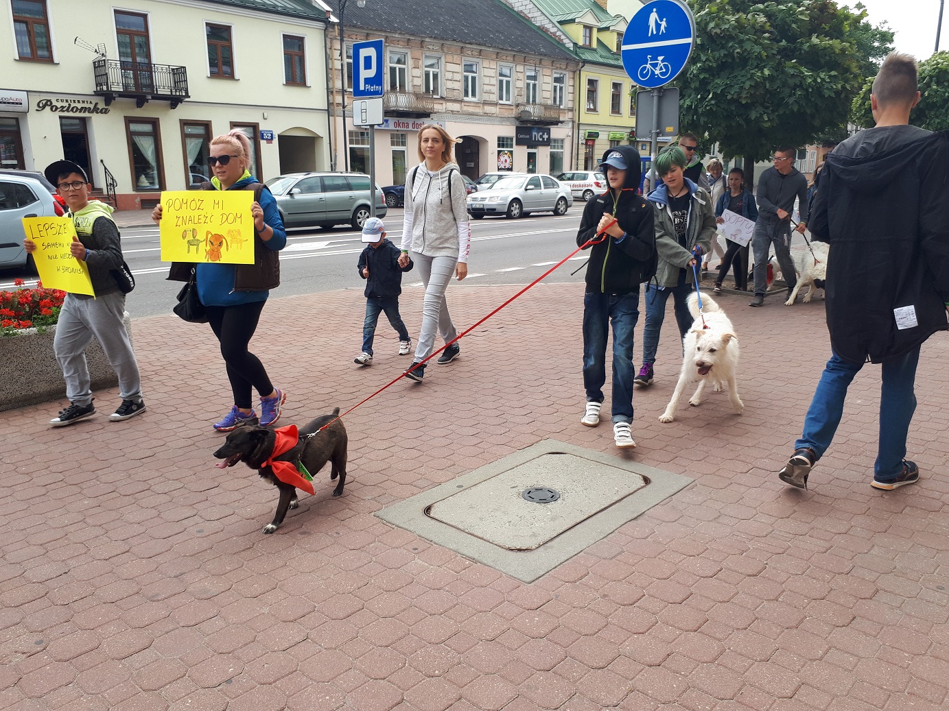 Spacer na 6 łap w Suwałkach