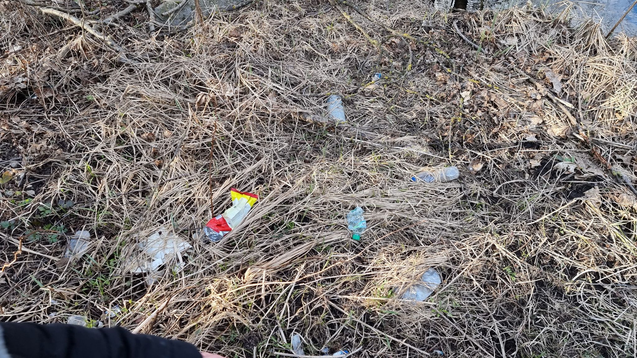 Suwalczanie chcą wyręczyć miejskie służby i posprzątać miasto