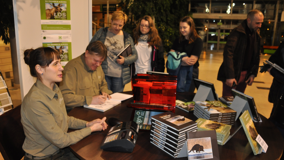 "Łoś — urodziwy brzydal"