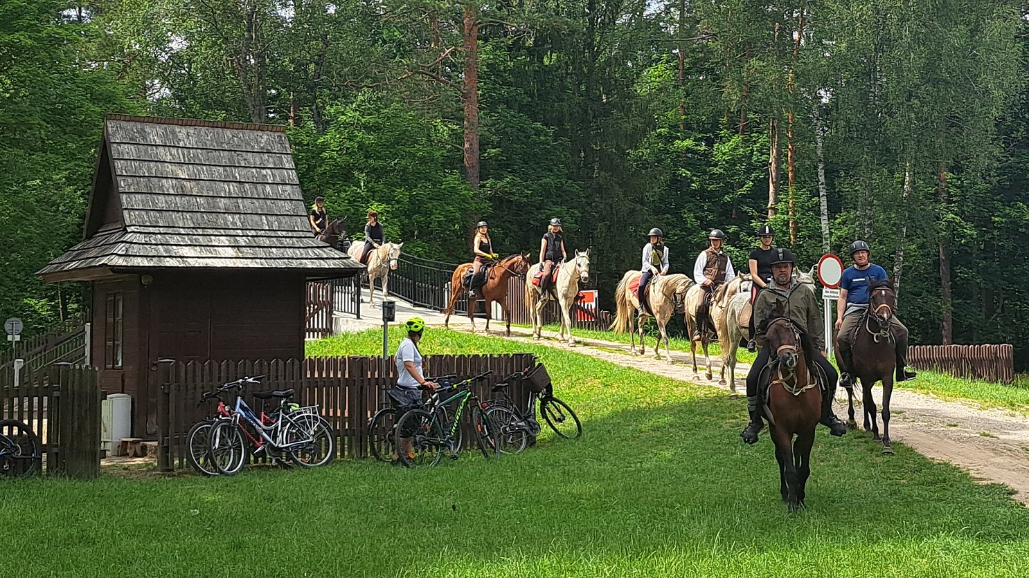 Z biegiem Kanału Augustowskiego. Konno, rowerem i kajakiem