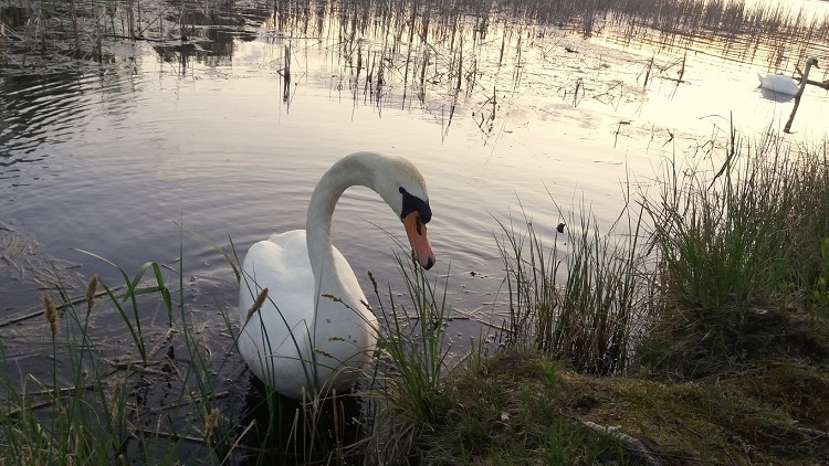 Problemy ze skuterami na jeziorze Kelig