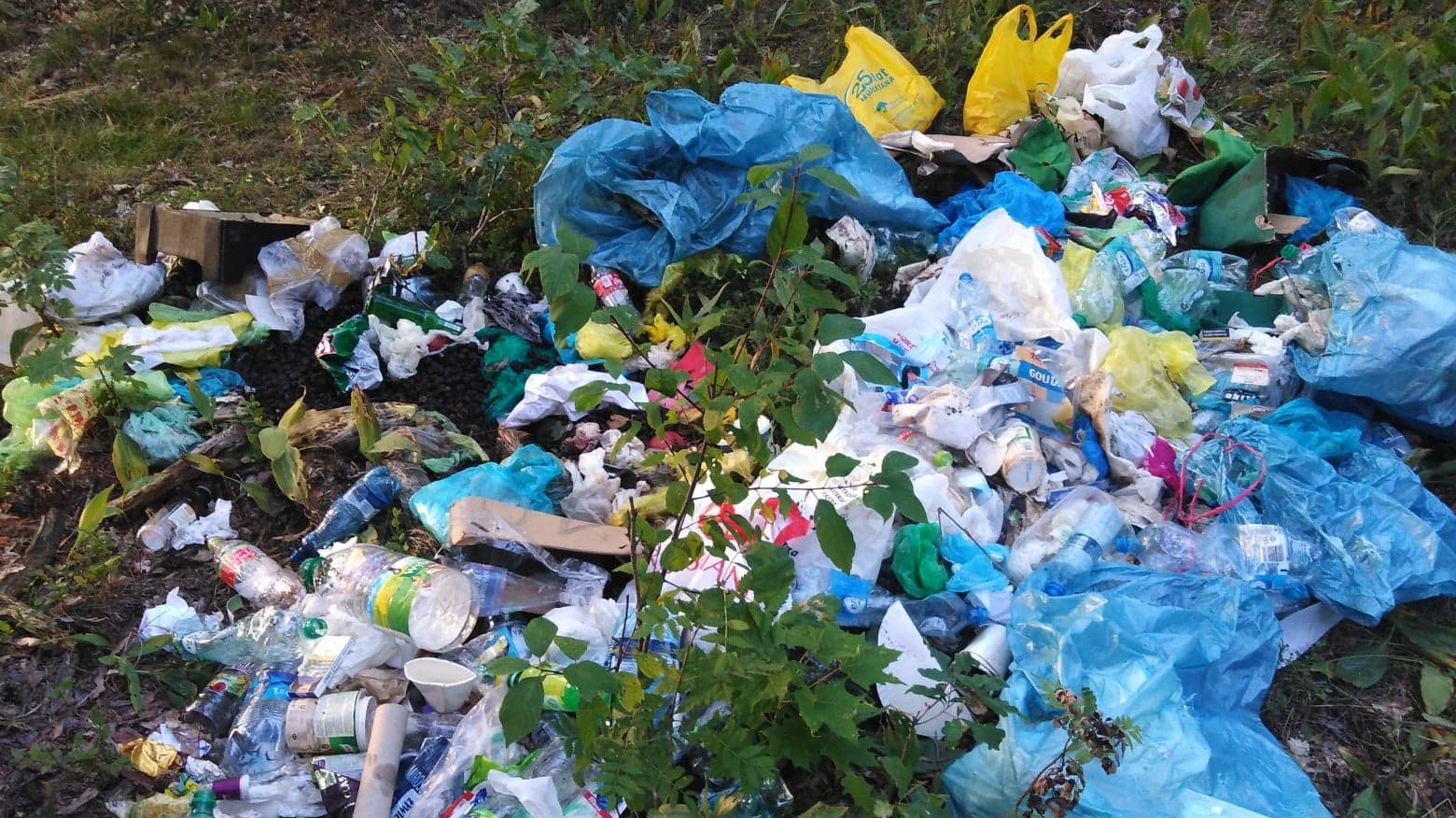 Śmieci w lasach Suwalszczyzny nie brakuje