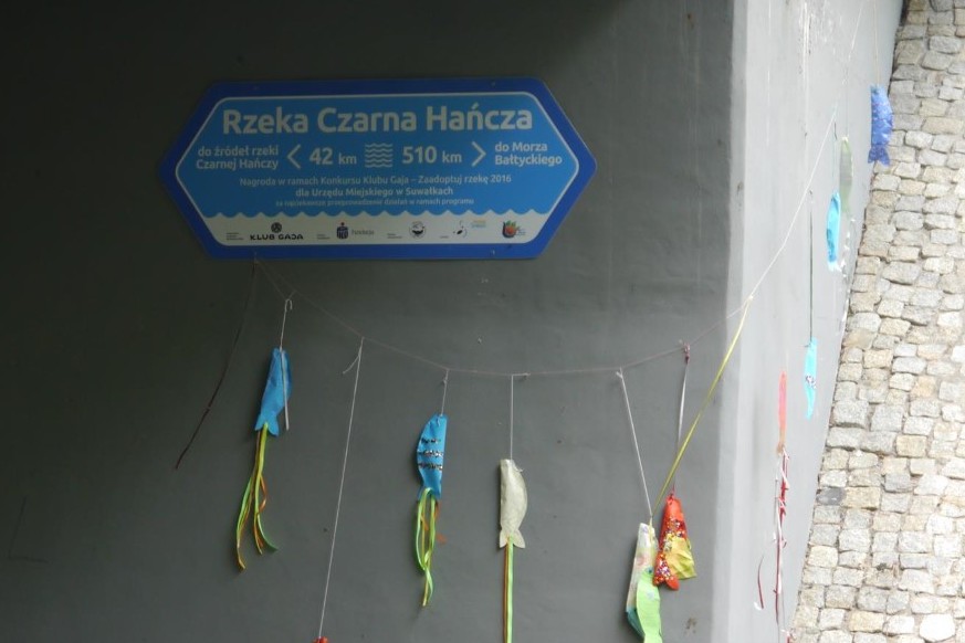 Prokuratura wszczęła śledztwo dotyczące wycieku ścieków do Czarnej Hańczy