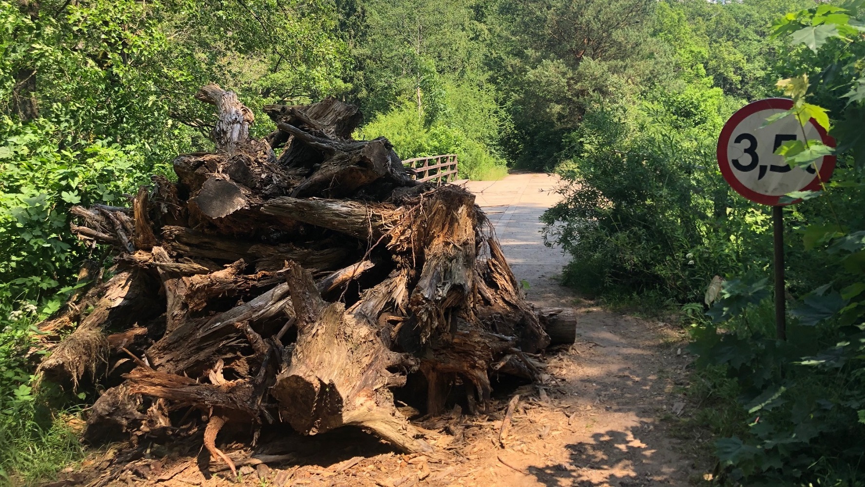 Most na Uroczysku Święte Miejsce. Wskazane przez wojewodę instytucje nie chcą się nim zająć