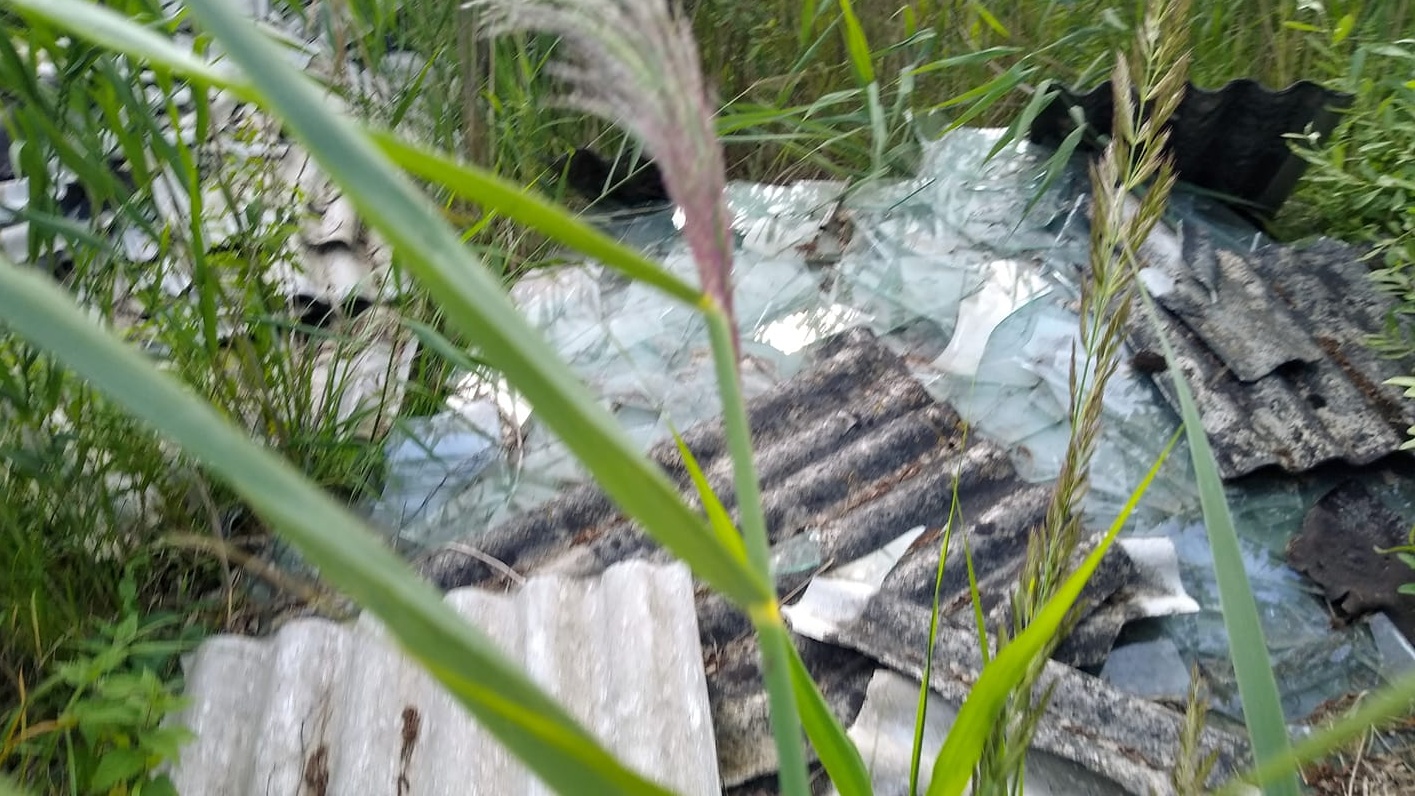 Kto wyrzucił azbest do lasu pod Przeroślą? Wójt szuka winnego