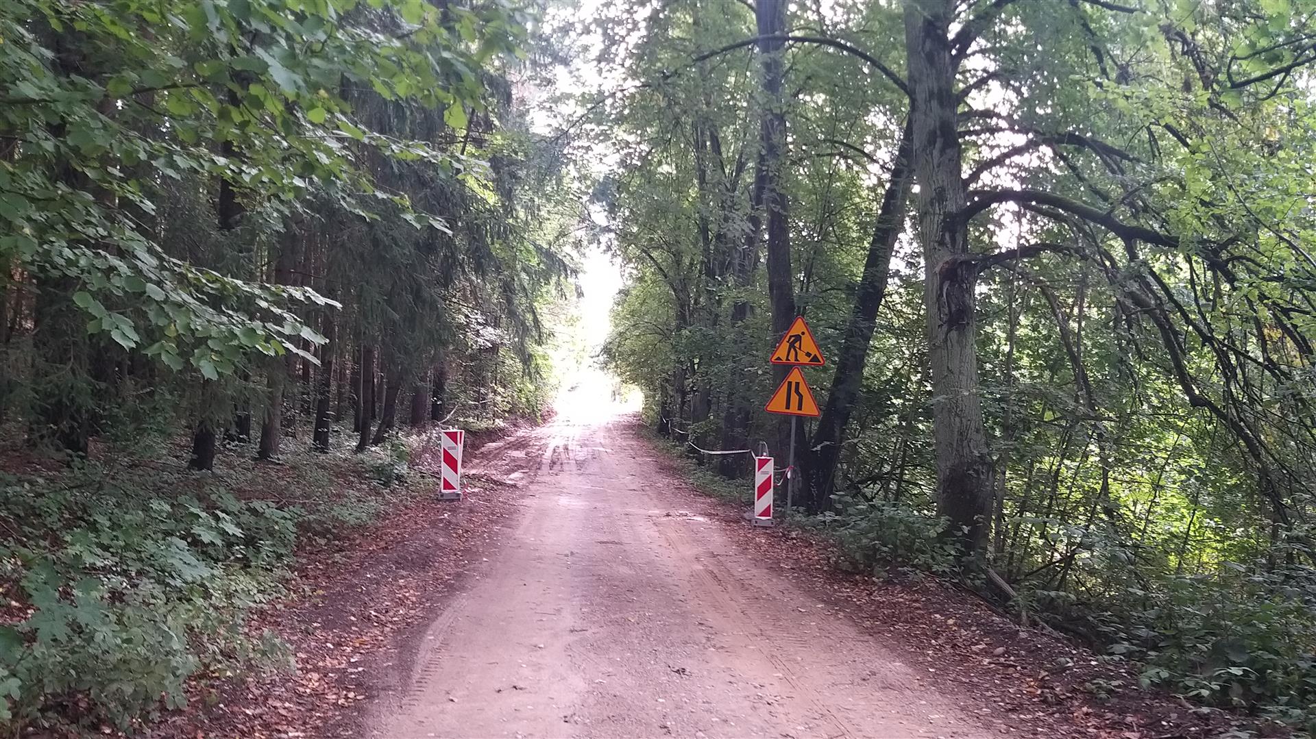 Mimo protestów i zebrania kilkuset podpisów, kolejne drzewa i krzaki zniknęły z Alei Lipowej w Posejnelach