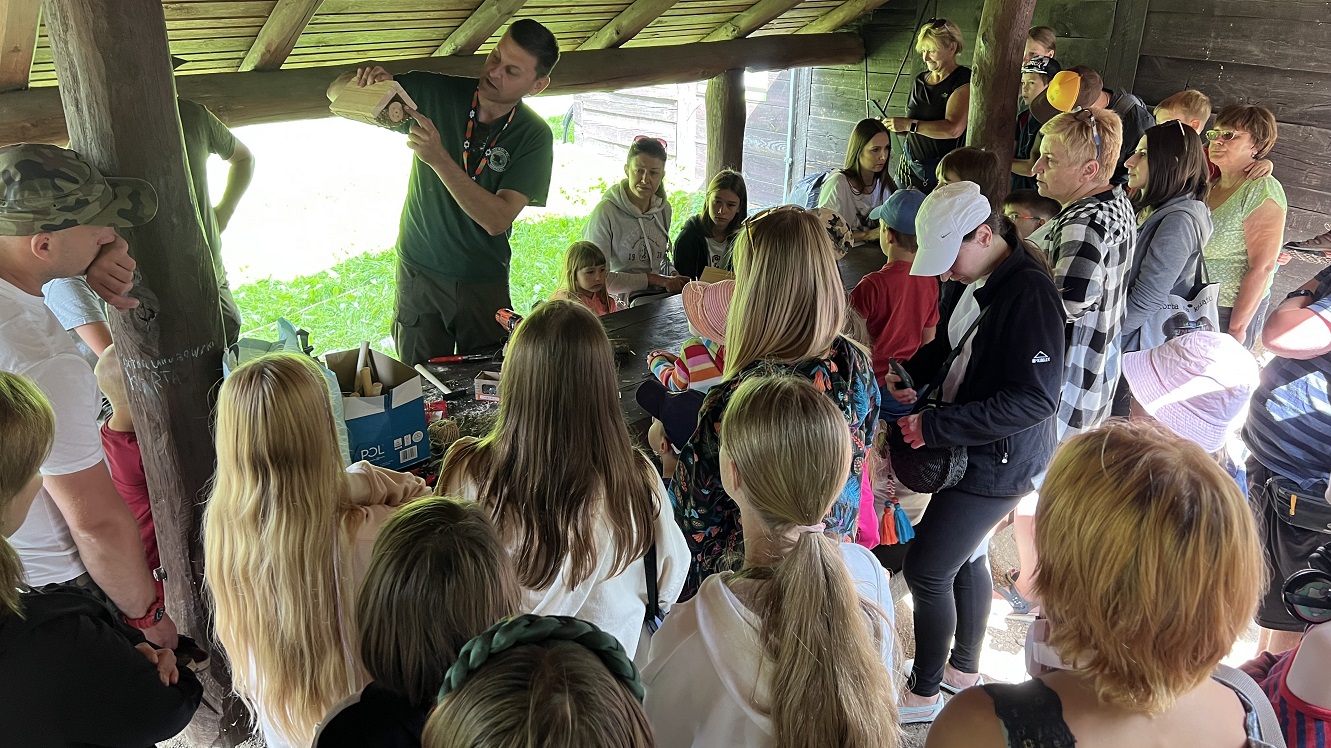 Co zrobić, aby pszczoły zamieszkały w naszym ogrodzie?