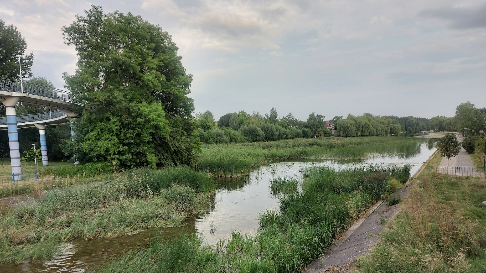Kanał Bystry w Augustowie zostanie wykoszony