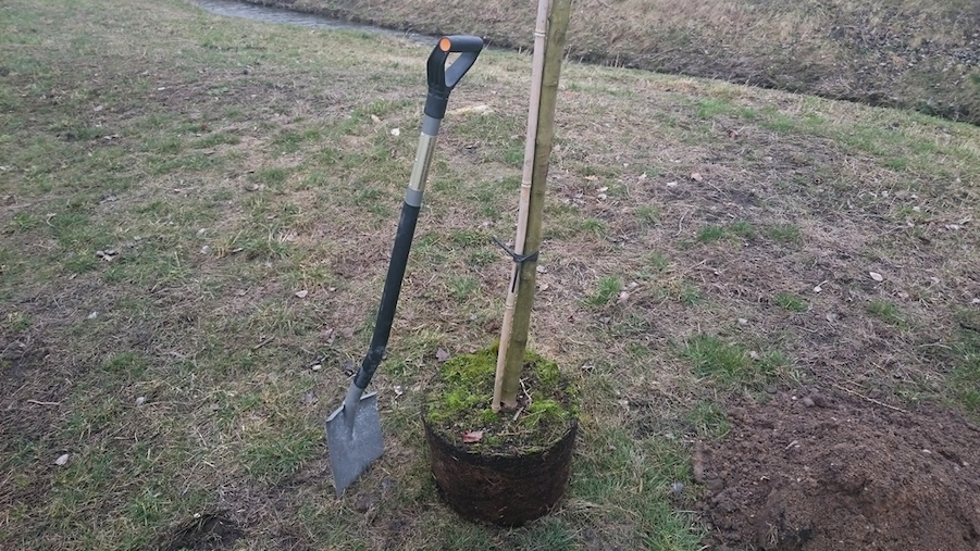 W Suwałkach powstanie nowy park