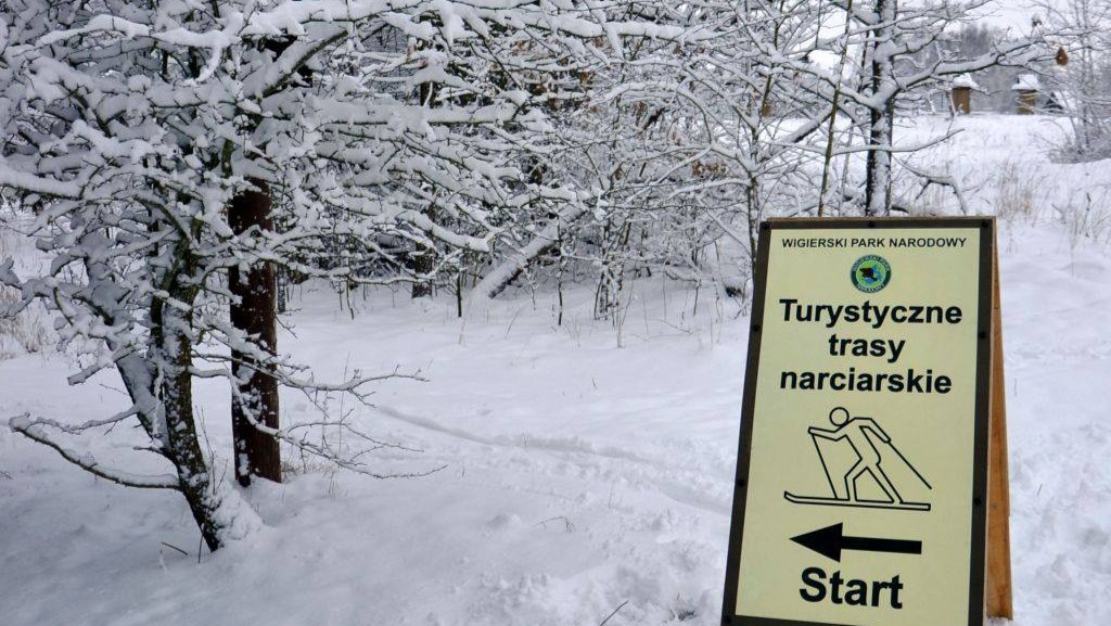 Zimowa Akademia Przyrody w WPN