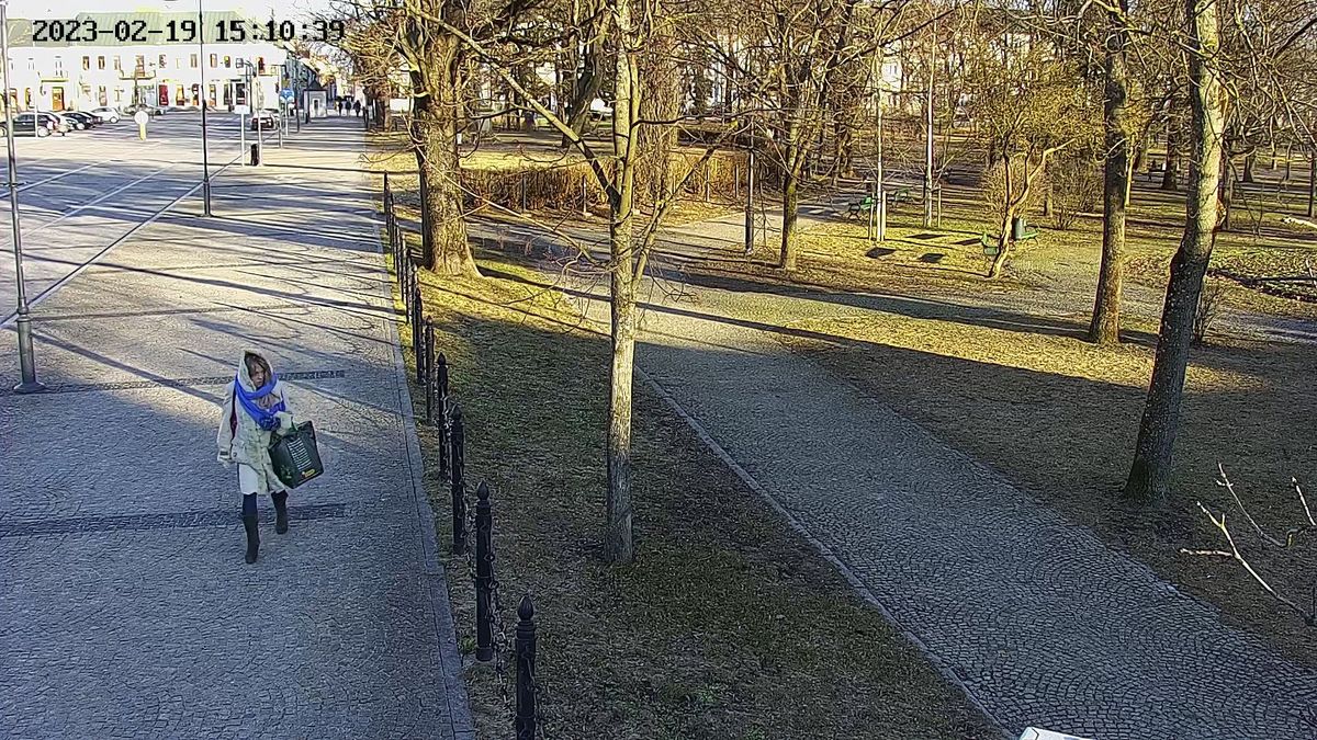 Policja poszukuje kobiety, która mogła mieć związek z kradzieżą tablic informacyjnych