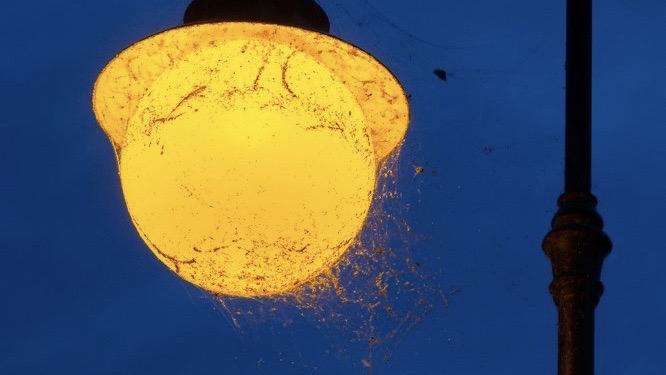 Augustowianie skarżą się na nieporządek w mieście