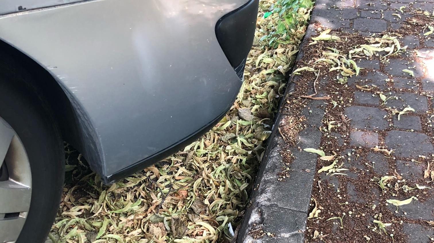 Poważny problem mają rodzice uczniów ze szkoły w Poćkunach