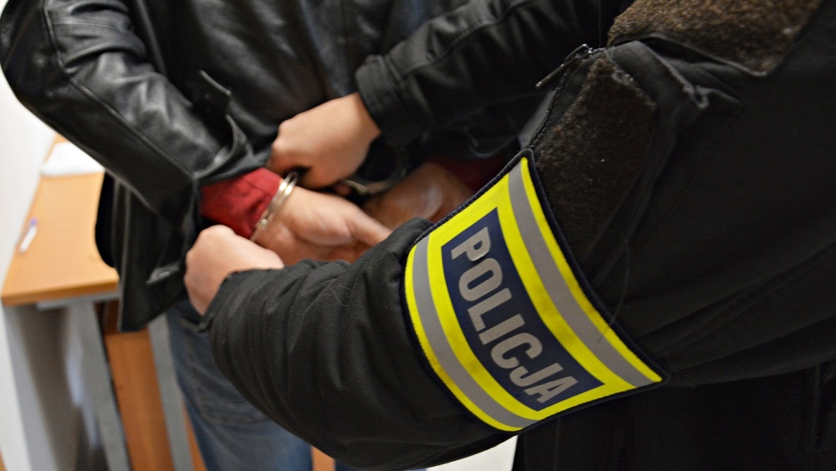 Cztery skradzione toyoty znaleziono w dziuplach. Za paserstwo grozi nawet 10 lat więzienia