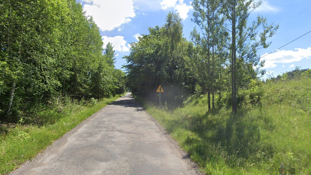 Rolnicy z gminy Filipów skarżą się na krzaki zarastające pobocza dróg powiatowych