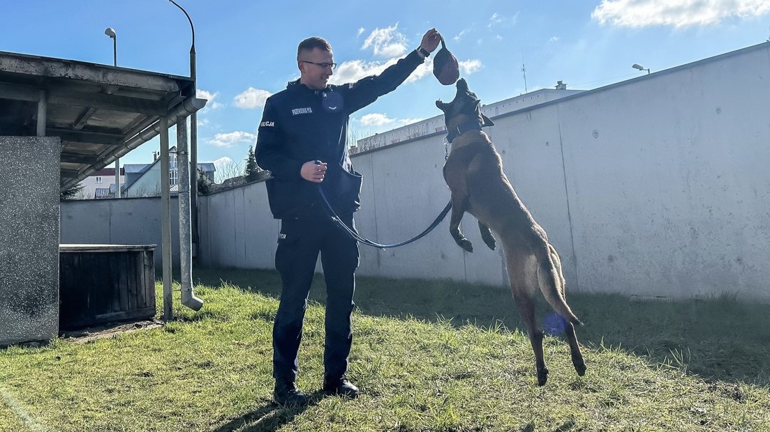 Komenda Powiatowa Policji w Augustowie ma nowego czworonożnego funkcjonariusza
