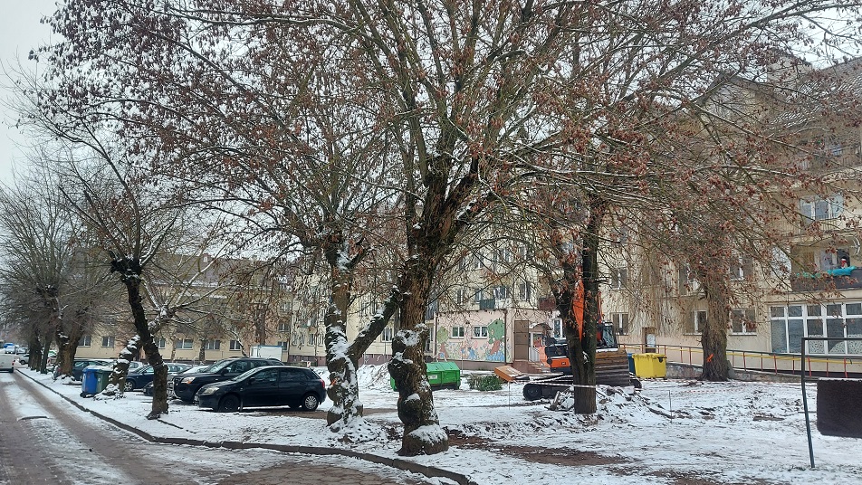 Kolejny konflikt o drzewa w Augustowie. Tym razem na „Kaczym dołku”