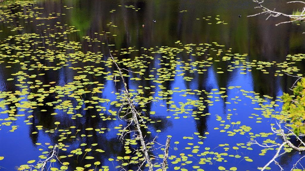 Suwałki. Zaniedbany zalew Żwirek