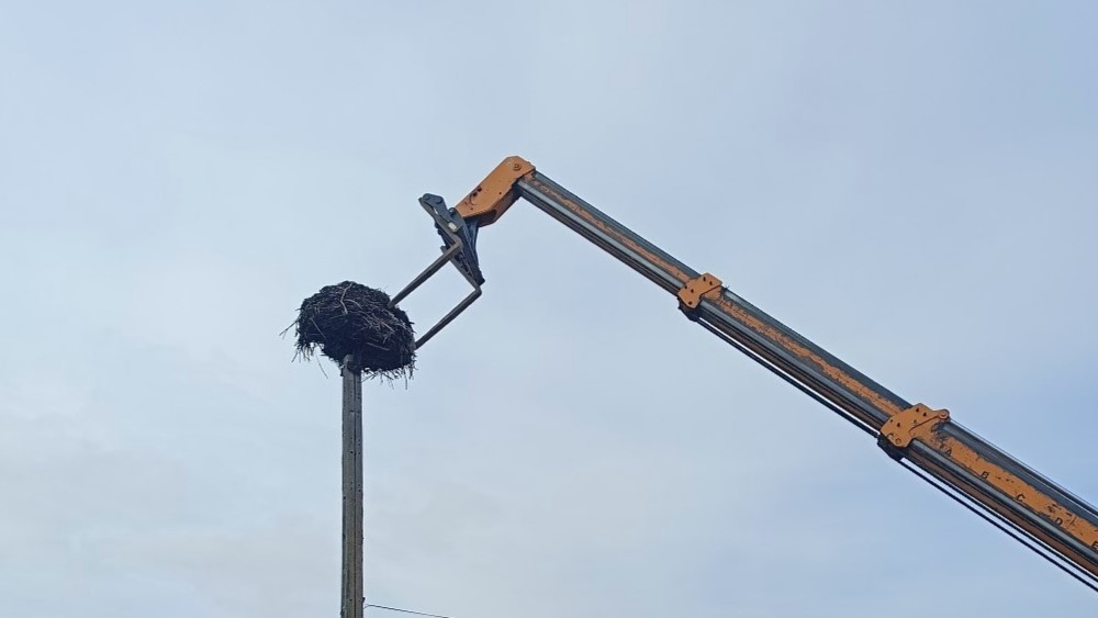 Sukcesem zakończyła się naprawa bocianiego gniazda przy Urzędzie Gminy w Filipowie