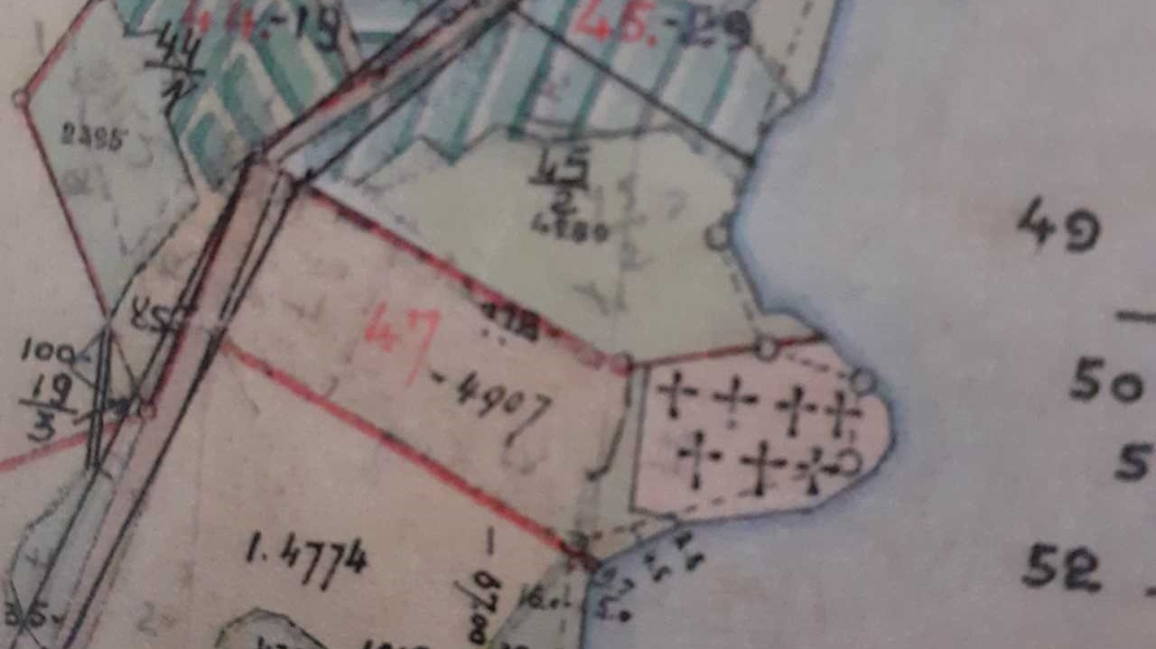 Zapadł wyrok w sprawie zdewastowania dawnego cmentarza staroobrzędowców