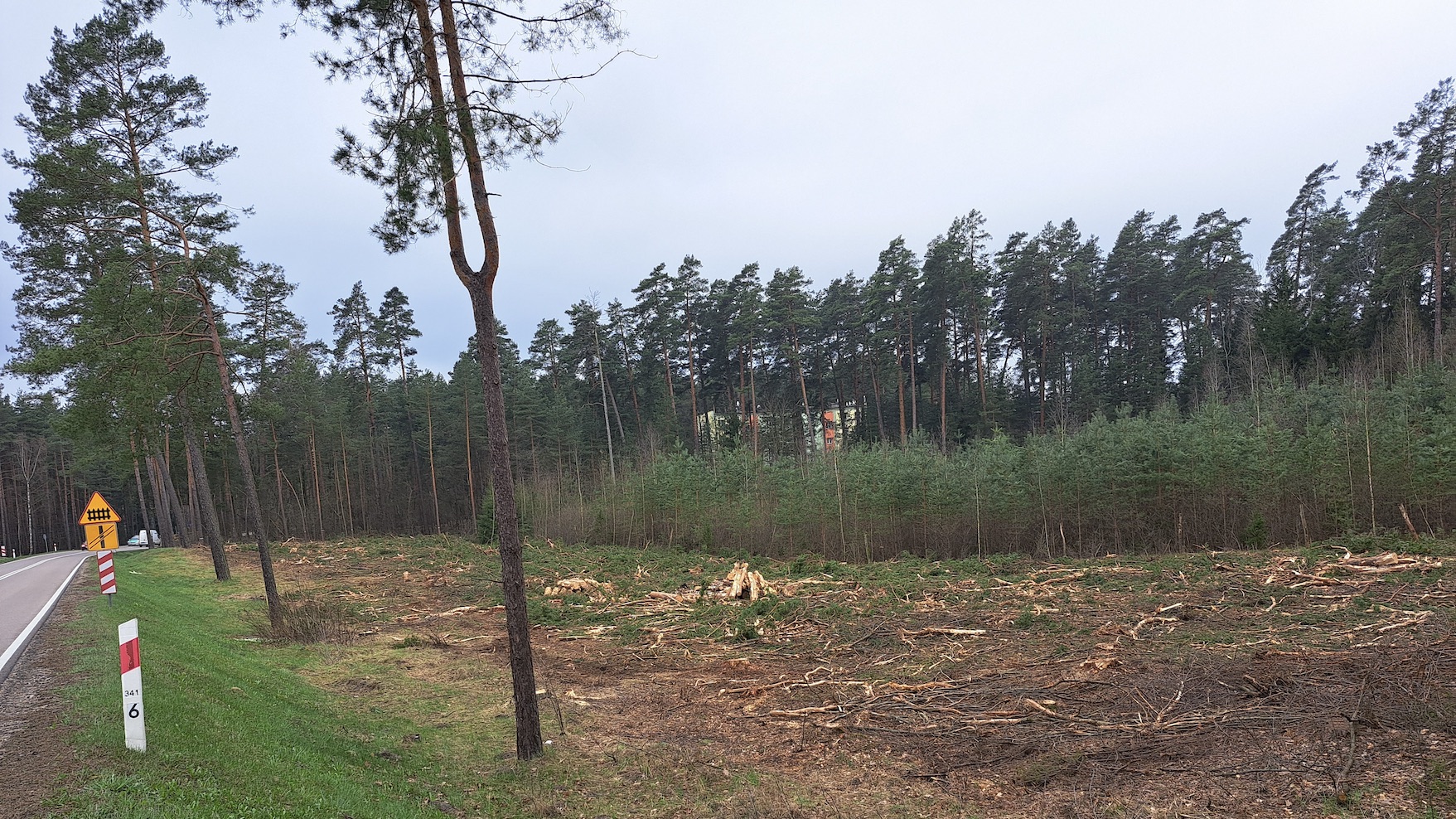 Augustowianie nie zgadzają się na wycinkę drzew wzdłuż ścieżki rowerowej do Studzienicznej