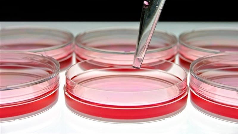 Potencjalny lek na koronawirusa w fazie testów