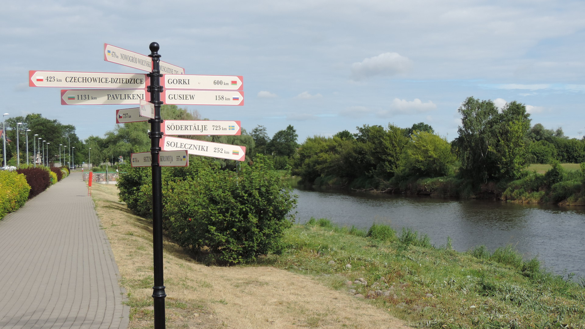 Niski poziom Narwi może zagrażać wiosennym lęgom ptaków