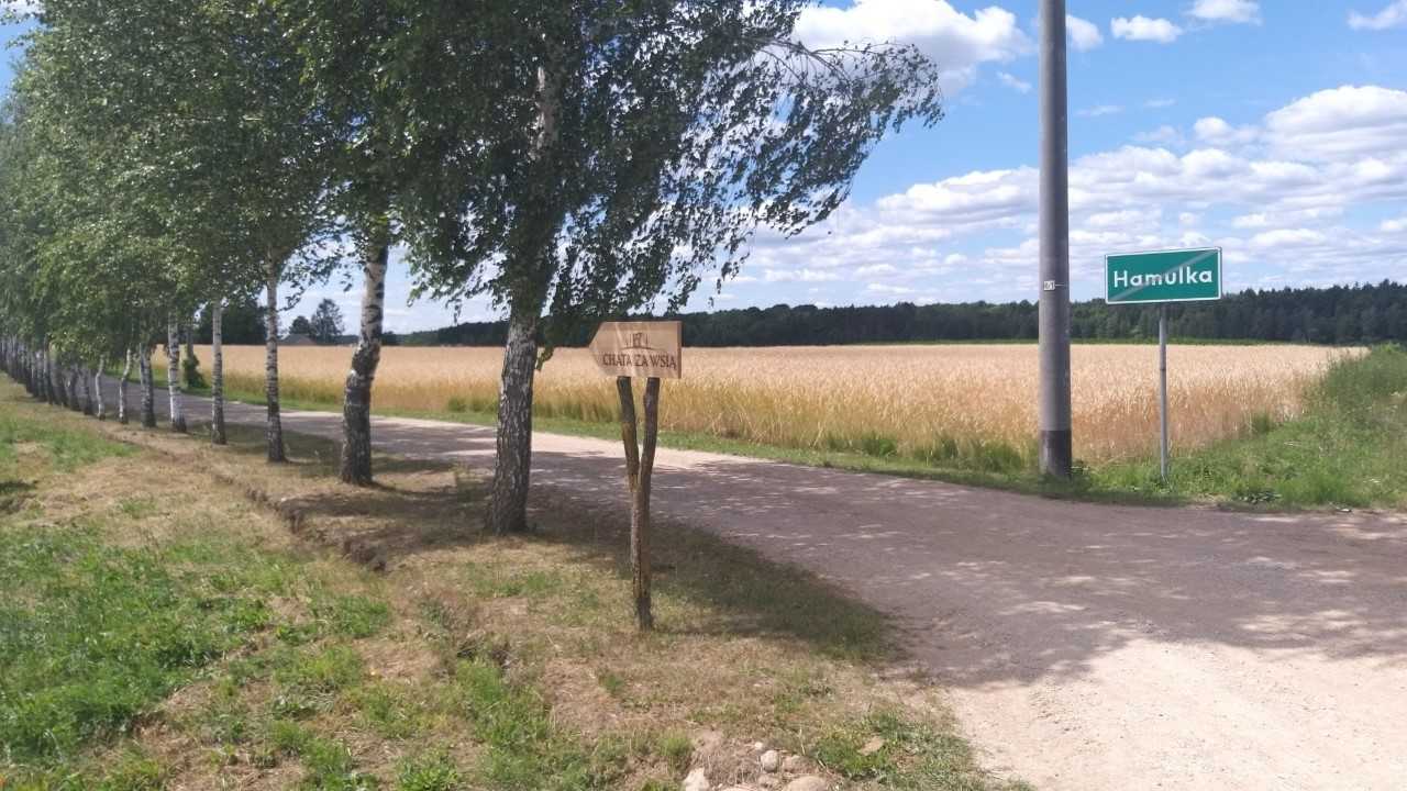 Spływ Biebrzą, szlak schronów i... sękacz - zaglądamy w okolice Dąbrowy Białostockiej