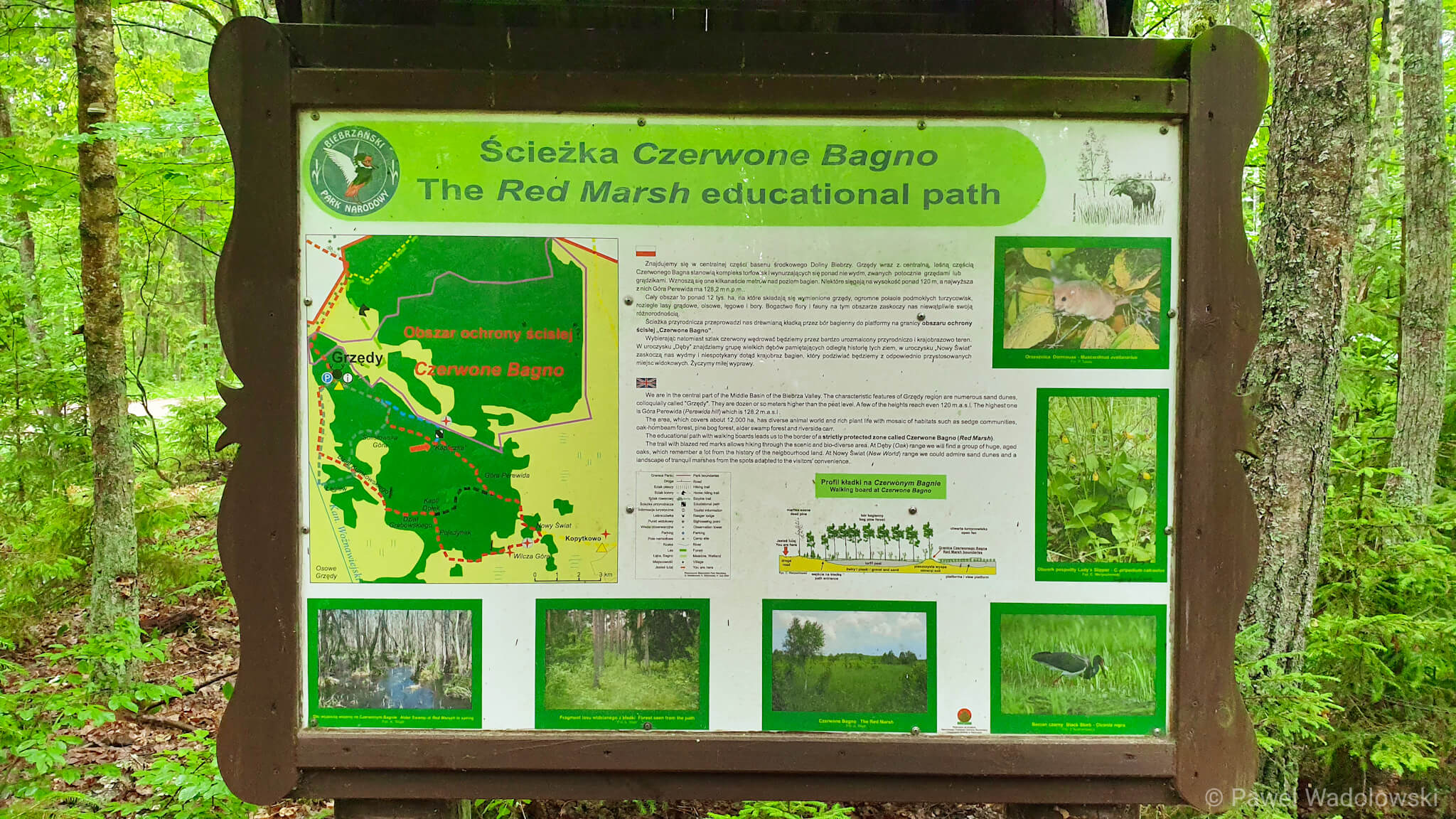 Biebrzański Park Narodowy zamknięty dla turystów do odwołania