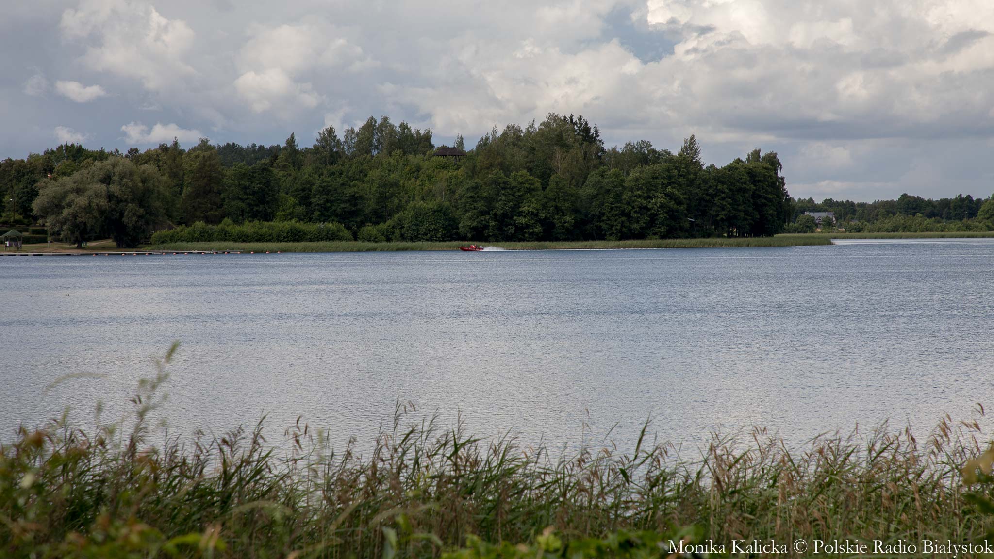 Kolejna partia narybku troci jeziorowej trafiła do Wigier