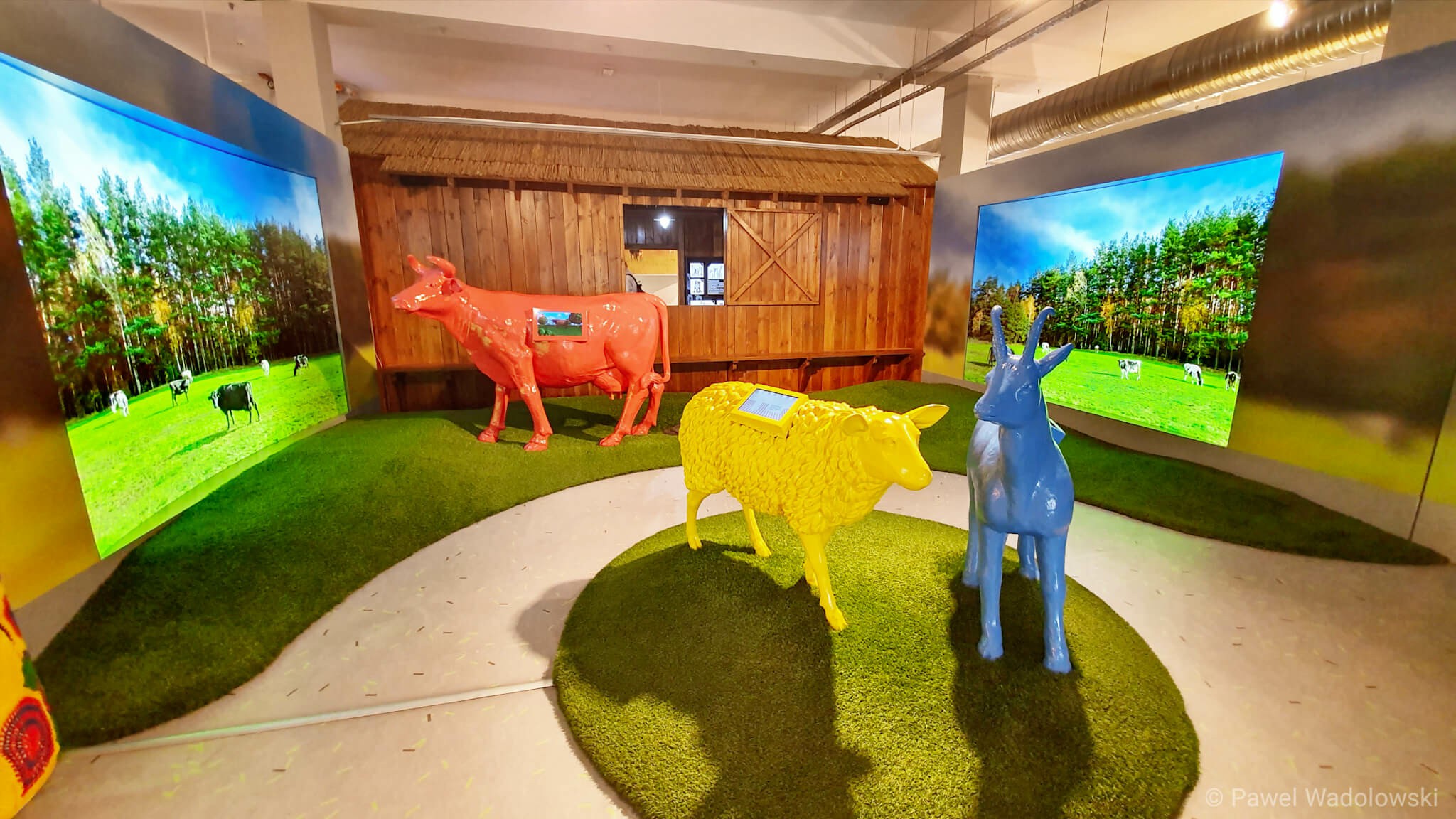 Kiedy mówimy o Grajewie, myślimy o mleku. A znajdziemy tu też... Pigwoniadę