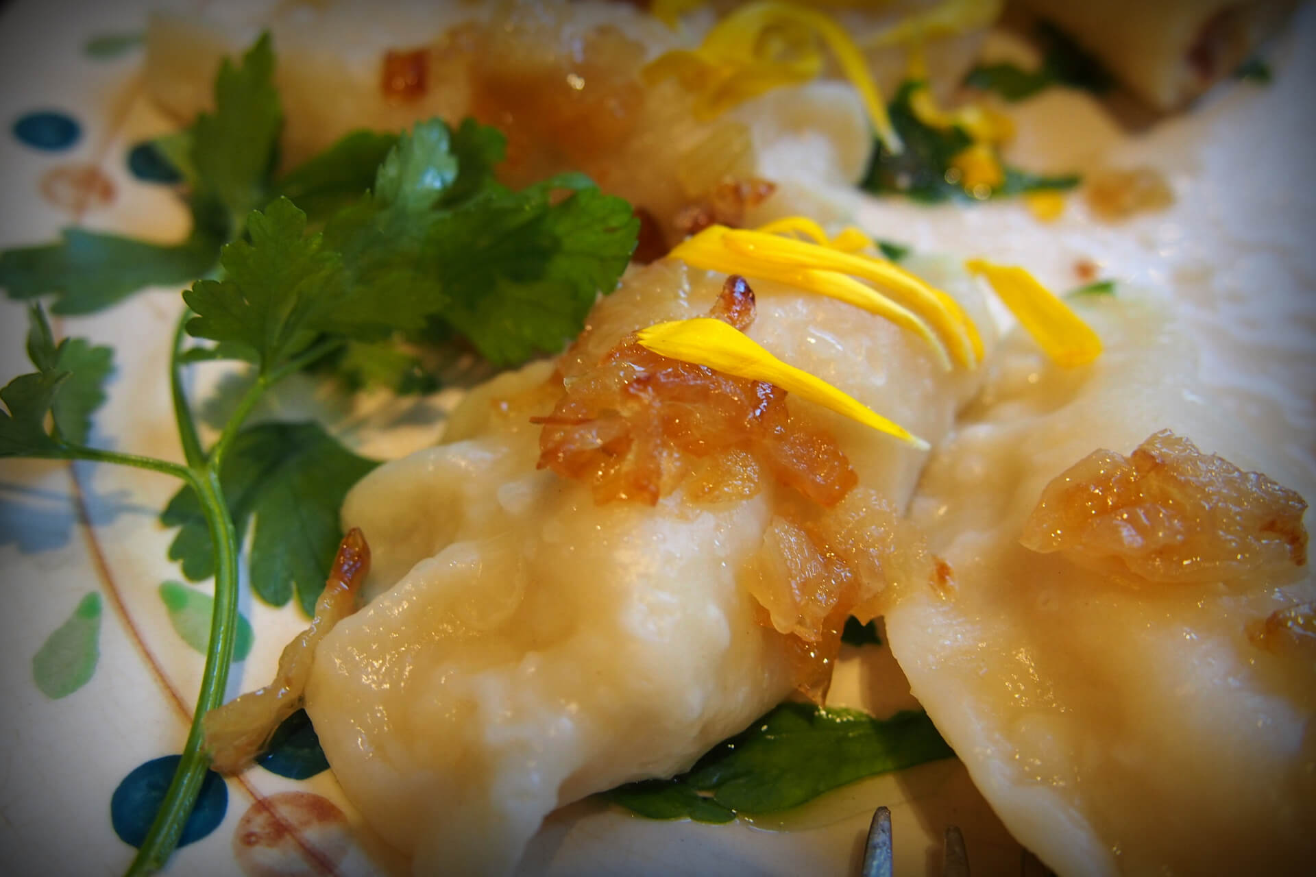 Pierożki z gęsiną - z wizytą w Kuchni Dobromil