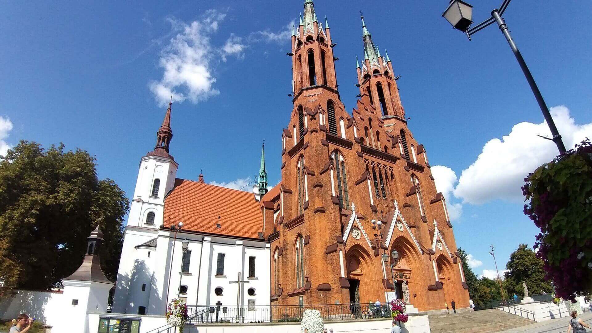 Niedziela Dobrego Pasterza w Kościele katolickim