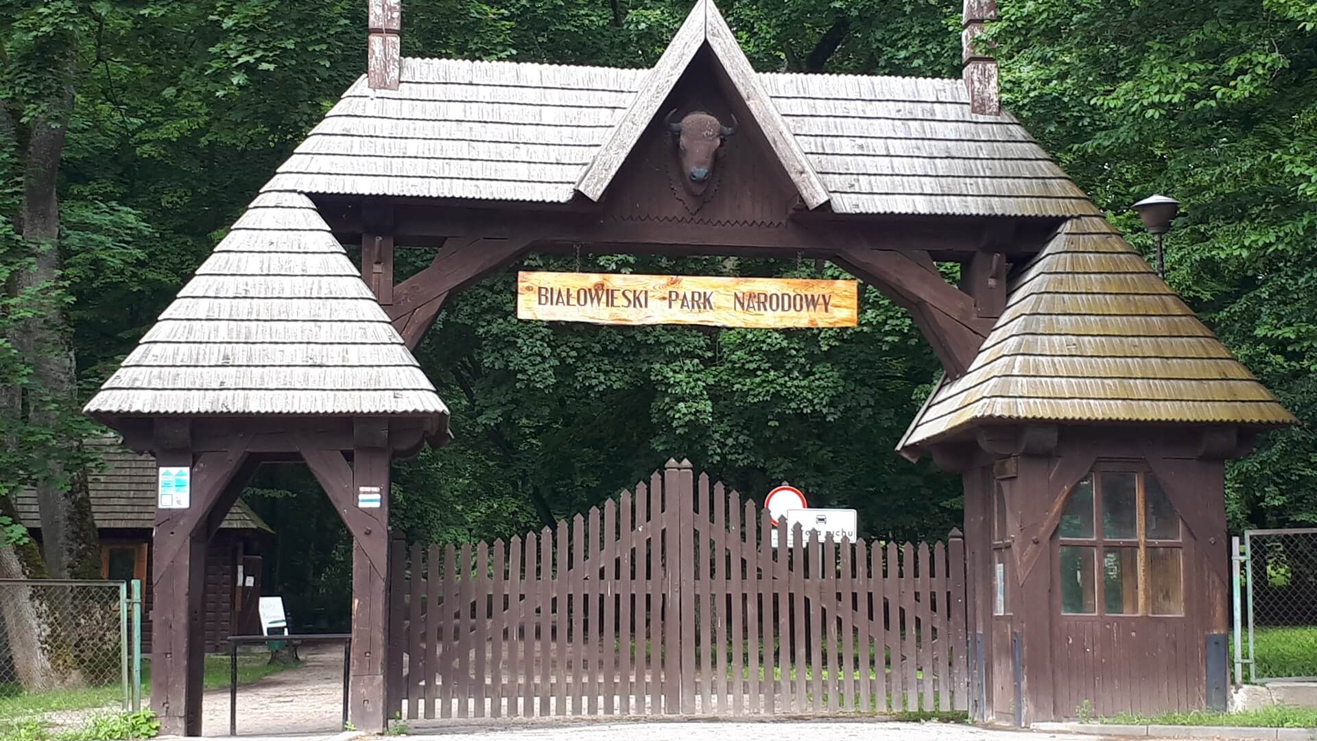 Ministerstwo klimatu ogłosiło konkurs na dyrektora Białowieskiego Parku Narodowego