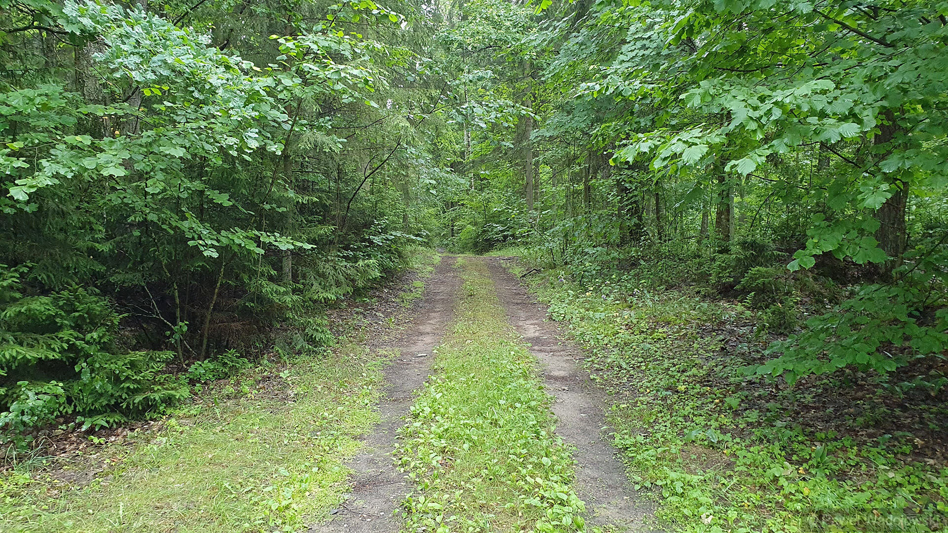 "Rowerowa wycieczka ornitologiczna" po Biebrzańskim Parku Narodowym