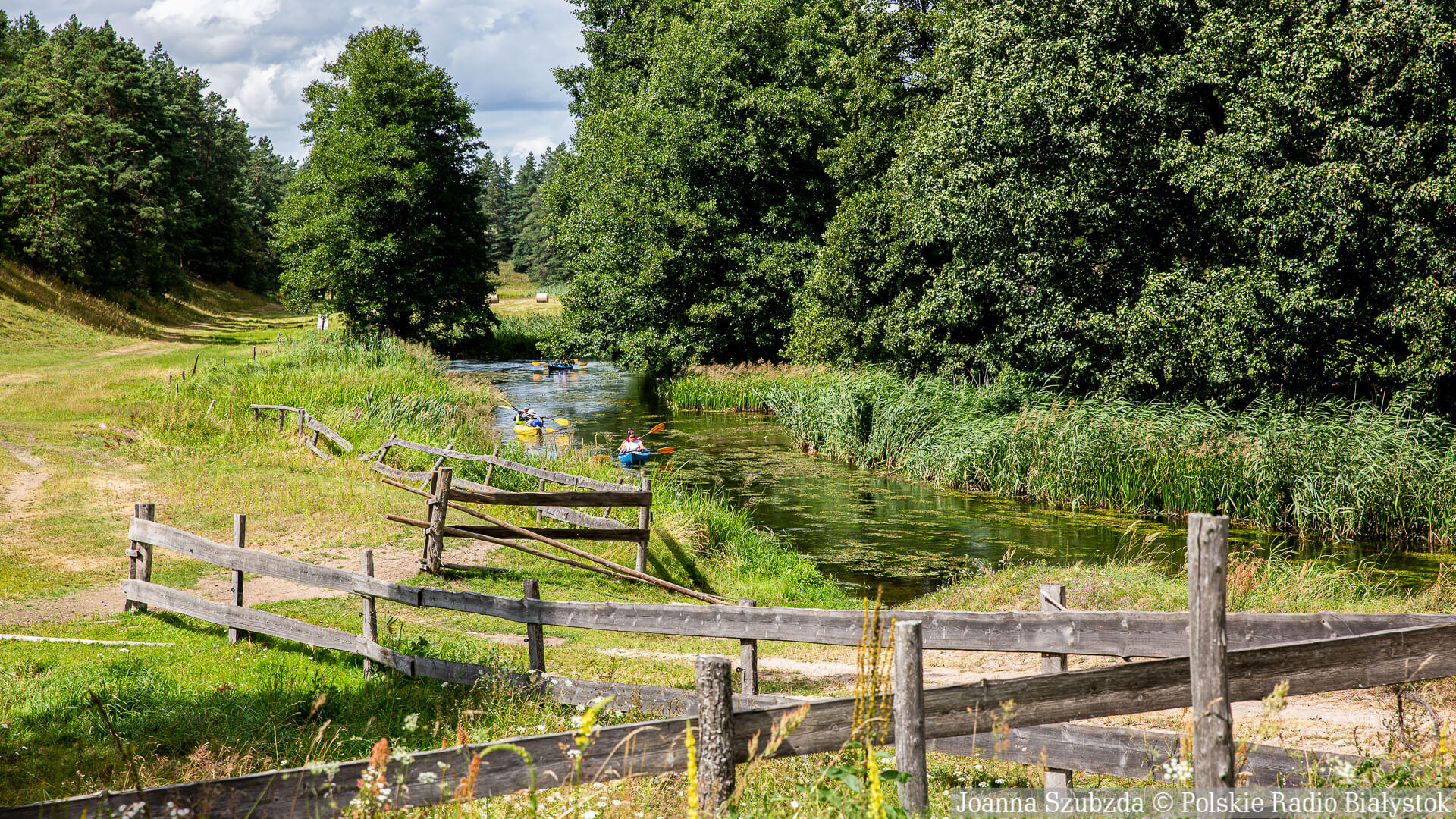 W Podlaskiem powstaną nowe rezerwaty przyrody. Po trzy w Puszczy Augustowskiej i Knyszyńskiej