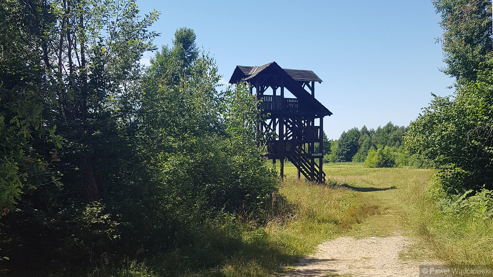 Dwie ścieżki turystyczne w Biebrzańskim Parku Narodowym czeka modernizacja