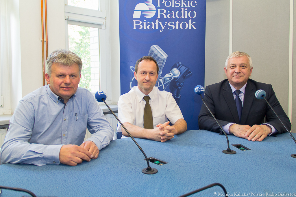 Co dalej z Puszczą Białowieską?