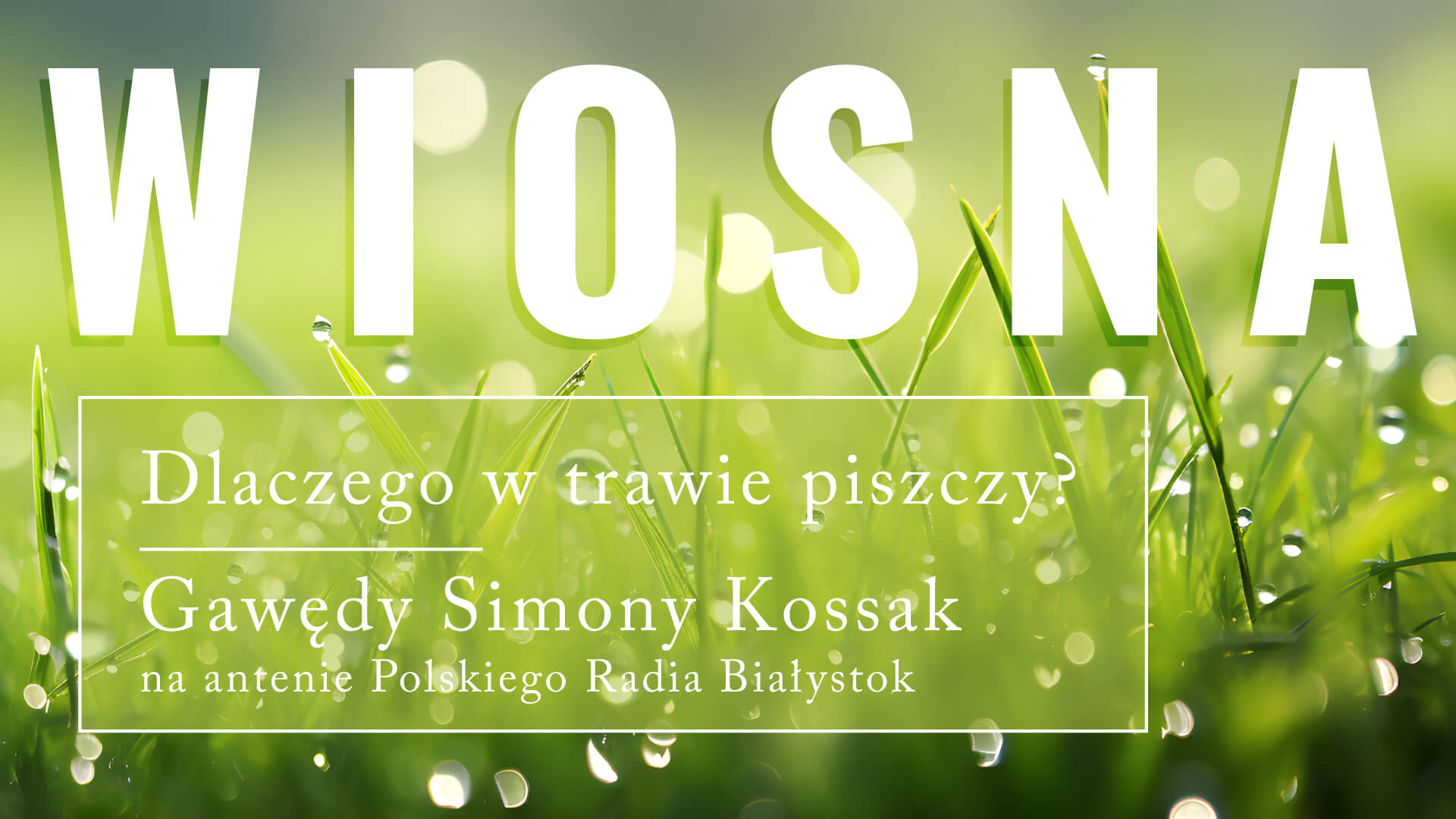 Dlaczego w trawie piszczy? Wiosna