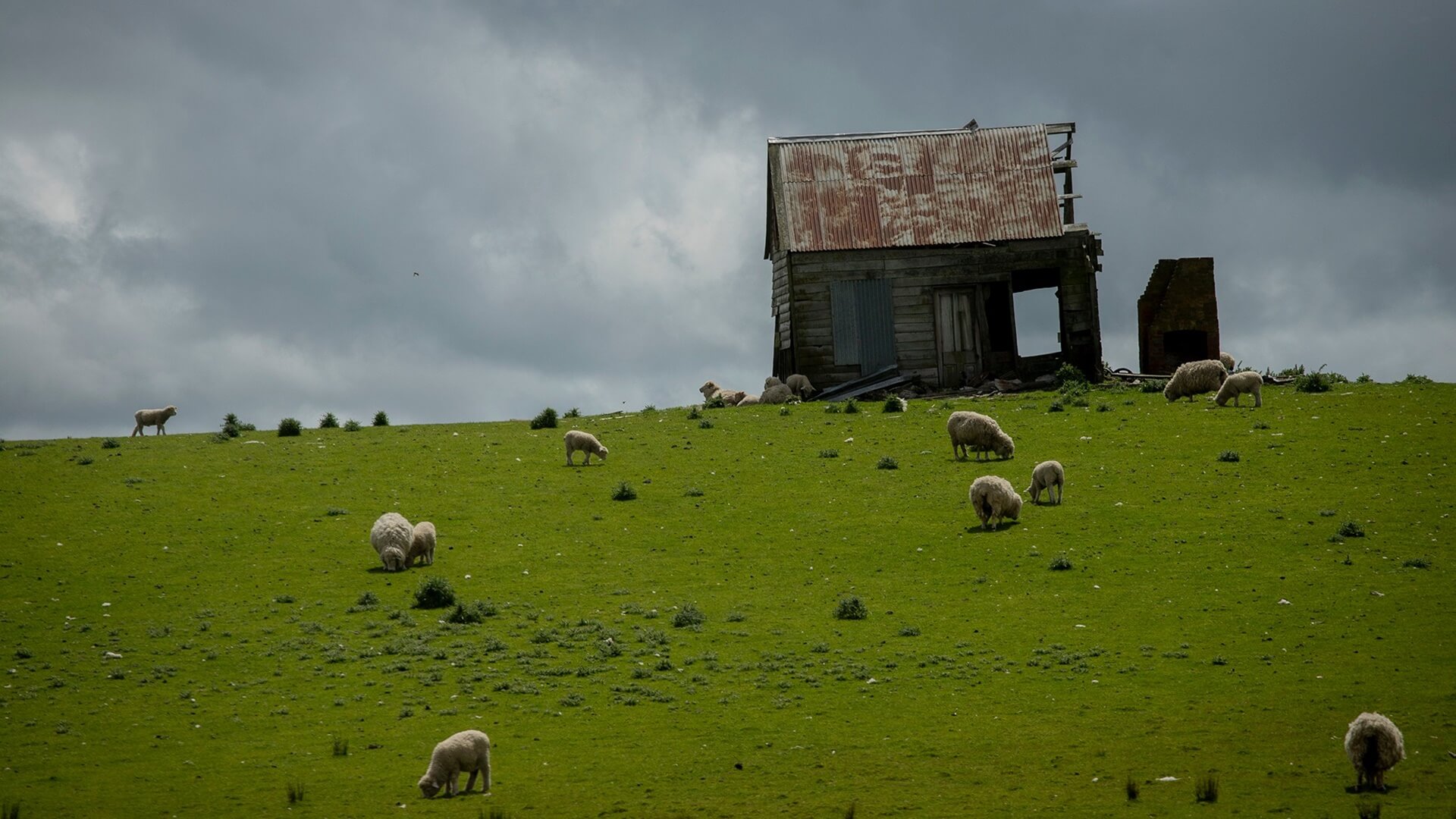 Jak doceniany jest kontakt z naturą w Nowej Zelandii