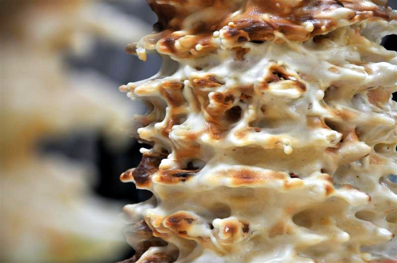 Region:  Sękacz - coraz popularniejszy na świątecznym stole