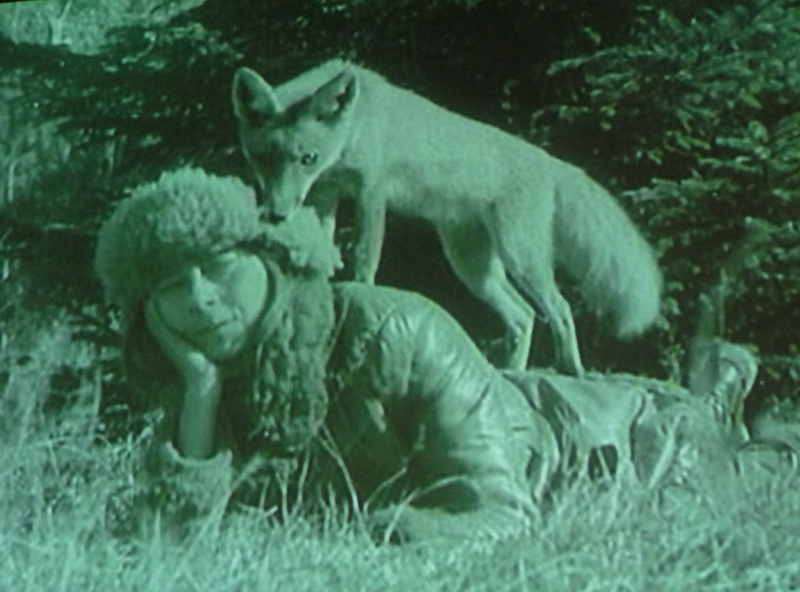 Jest szansa na ulicę im. prof. Simony Kossak w Białowieży