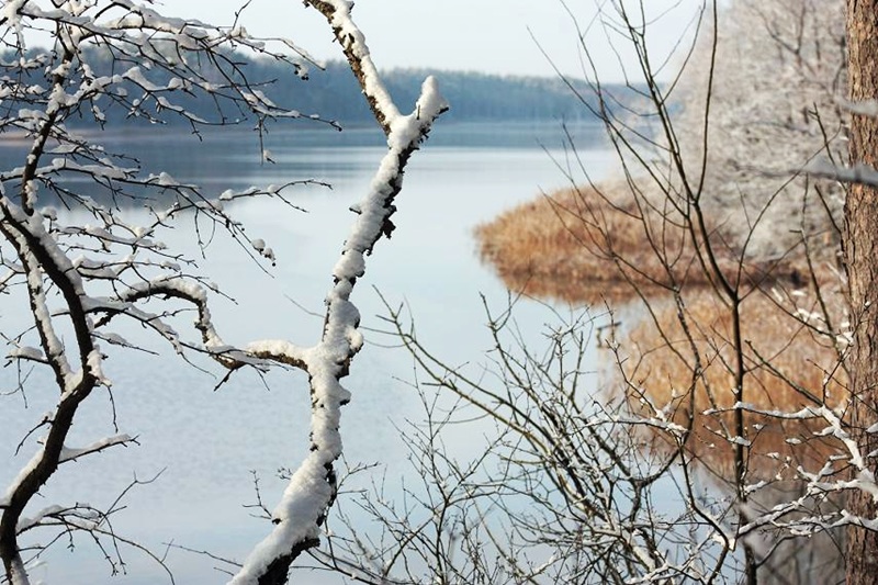 Augustów:  Zlot morsów, nordic walking i Mistrzostwa Polski w Windsurfingu Śnieżno-Lodowym
